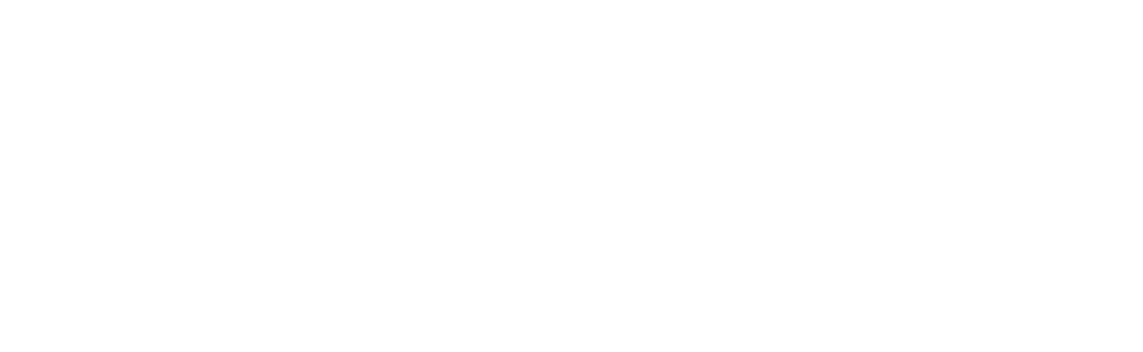 Logo Dirnbacher Event GmbH